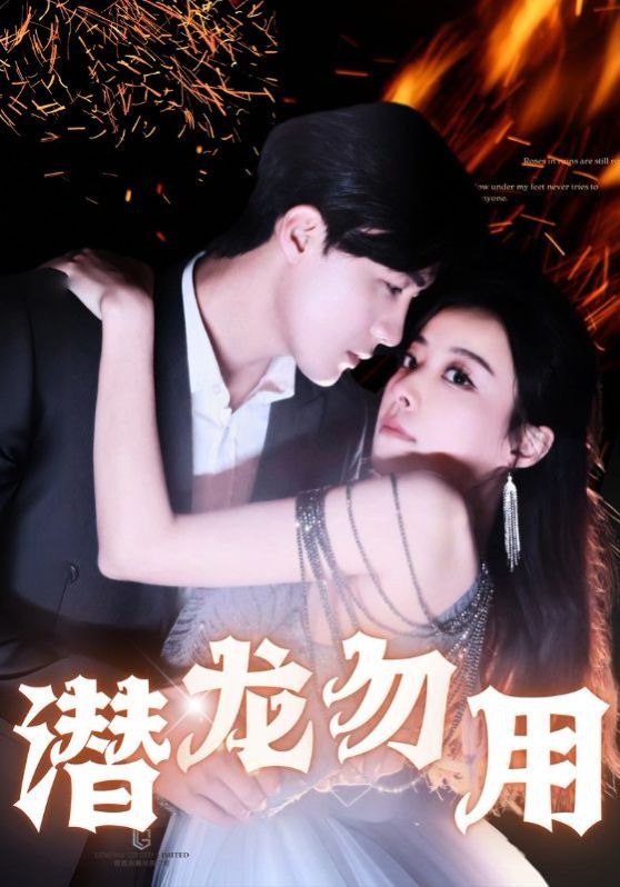 潜龙勿用第61-87集完结(大结局)