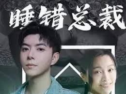 睡错总裁狂宠妻第81-100集完结(大结局)