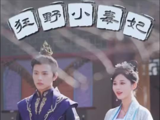 狂野小毒妃第1-20集