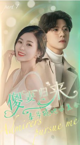 傻妻归来秦爷跪地求复合第1-20集