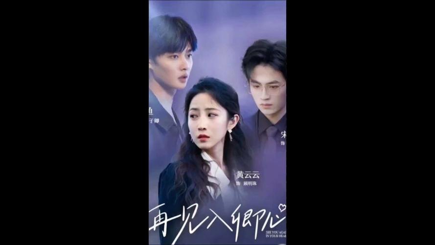 再见入卿心第61-80集