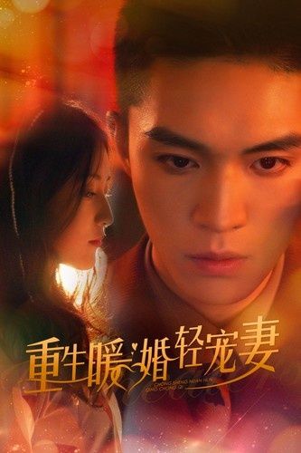 重生暖婚轻宠妻第61-70集完结(大结局)