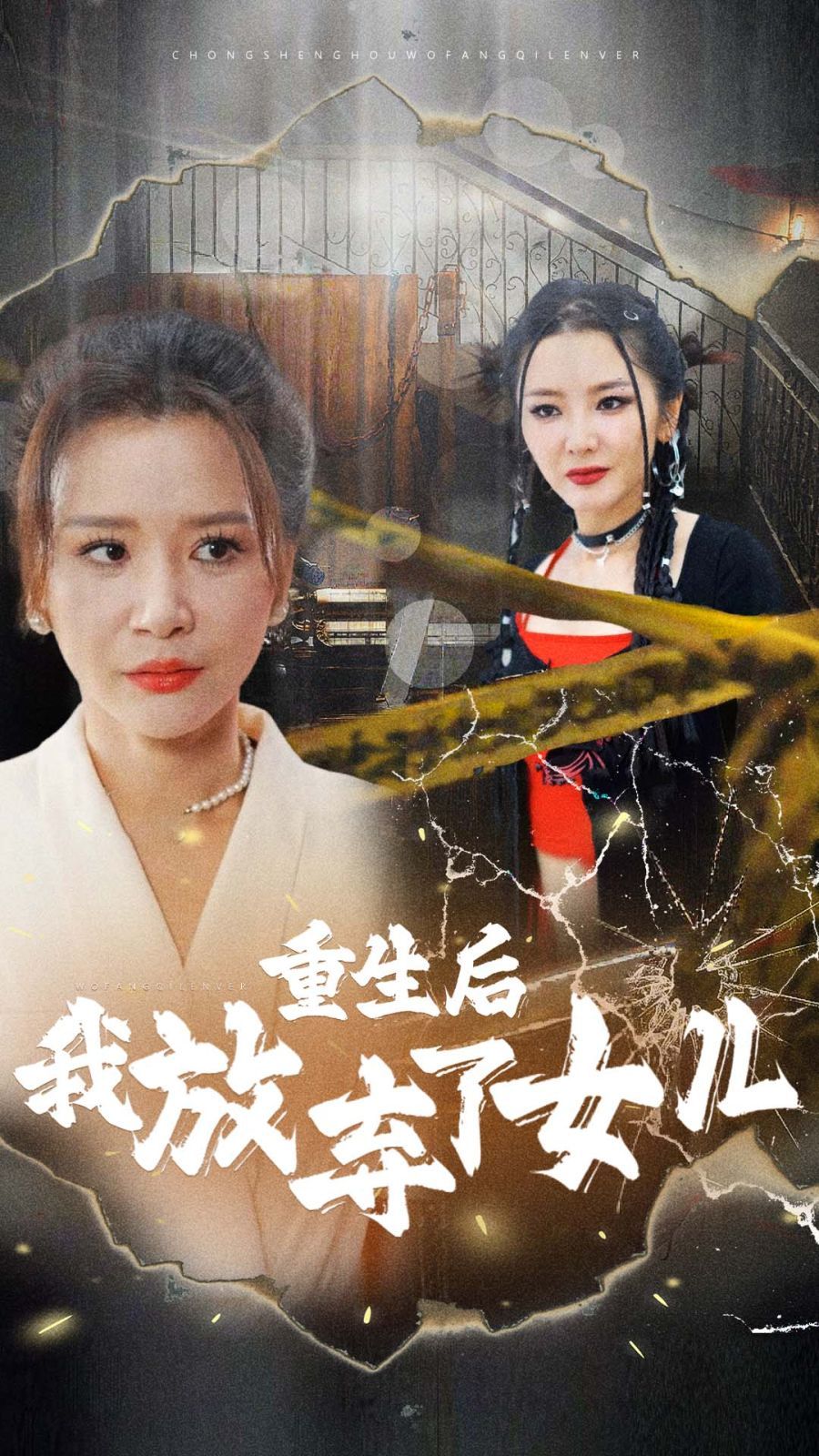 重生后我放弃了女儿第1-20集